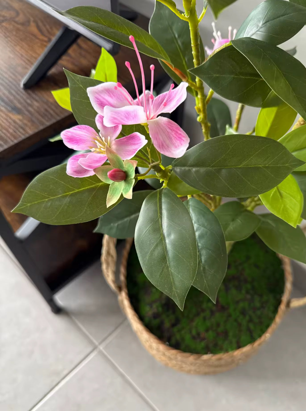 Ficus Floral – Árbol Artificial con Flores Blancas o Rosas (80 / 120 cm)
