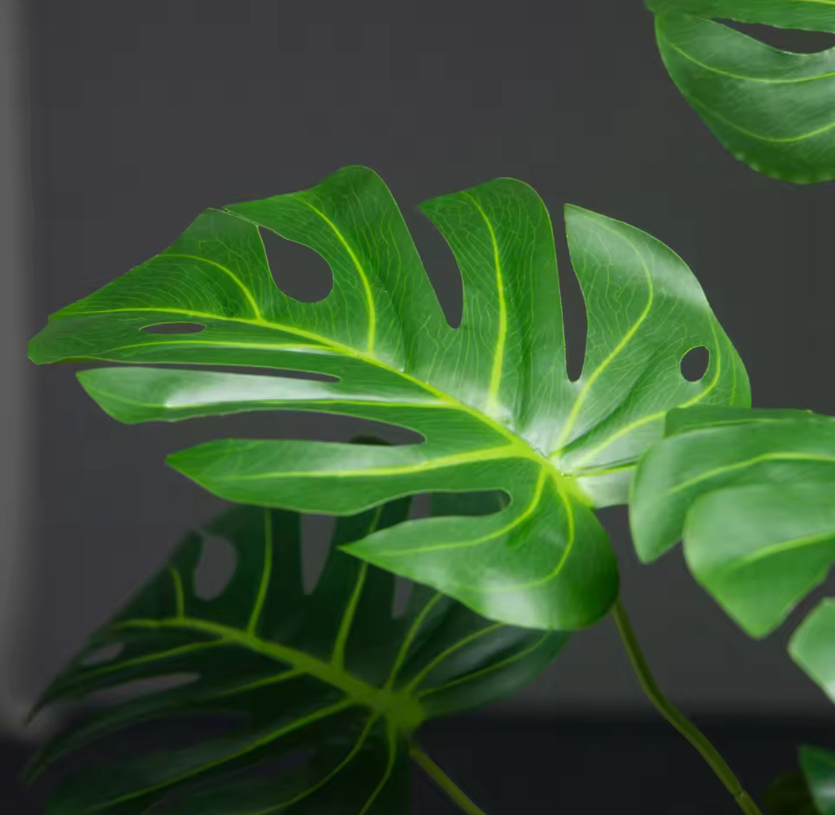 Monstera “Costilla de Adán” Artificial – 65 cm | Planta Tropical de Interior
